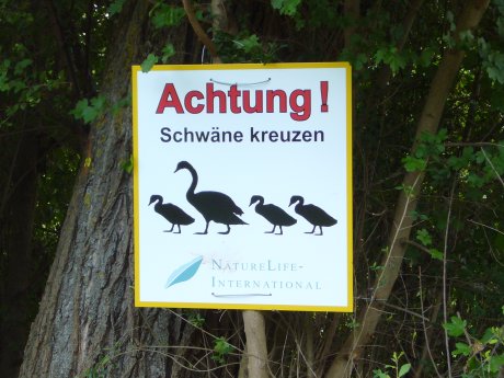 Schild "Achtung Schwäne"