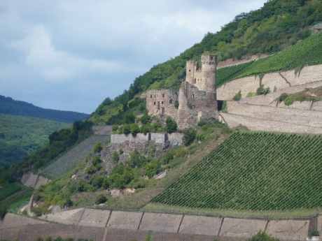 Burg bei Bingen